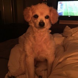 Meet your Posher, Pamela